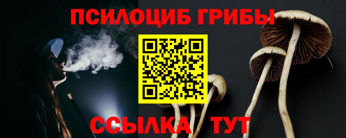 купить наркотик  Галлюциногенные грибы Psilocybe  Вход с VPN  Галлюциногенные грибы Magic Shrooms  Нарткала 